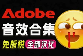 请称爆硬盘！Adobe 和 达芬奇 官方提供的高品质免版税音效库， 10000  免费商用音效合集，已离线打包