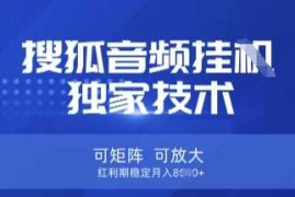 【搜狐音频挂G】独家技术，可矩阵可放大，红利期稳定月入8k【揭秘】
