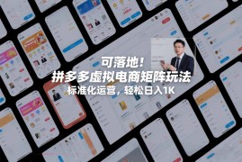 可落地！拼多多虚拟电商矩阵玩法，标准化运营，轻松日入1K 【揭秘】