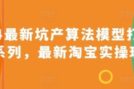 2024最新坑产算法模型打款玩法系列，最新淘宝实操玩法
