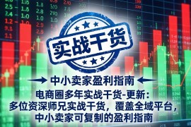 电商圈多年实战干货-更新4月：多位资深师兄实战干货，覆盖全域平台，中小卖家可复制的盈利指南
