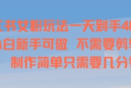 小红书女粉玩法一天到手4张，小白新手可做，不需要剪辑 制作简单只需要几分钟