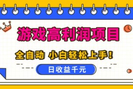 游戏高利润项目，日收益1k ，全自动，无需值守，解放双手，小白轻松上手【揭秘】