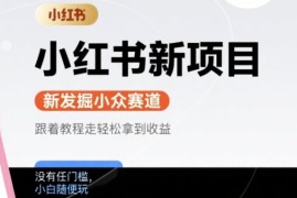 小红书新项目，新发掘出来的小众赛道 ，跟着教程走轻松拿到收益，没有任何门槛，小白随便玩