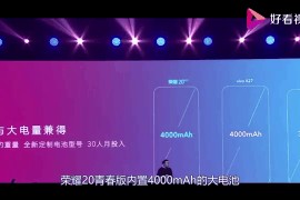 荣耀20青春版参数配置(荣耀20青春版参数配置报价)