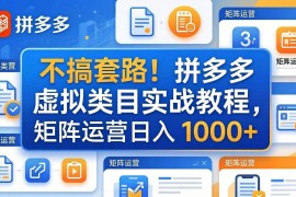 （17869期）不搞套路！拼多多虚拟类目实战教程，矩阵运营日入 1000 