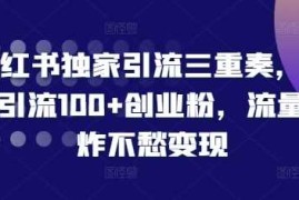 小红书独家引流三重奏，当天引流100 创业粉，流量爆炸不愁变现【揭秘】