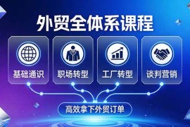 （17643期）外贸全体系课程：覆盖基础通识 职场转型 工厂转型 谈判营销，一套流程帮你高效拿下外贸订单