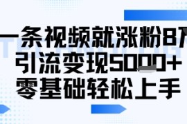 一条视频就涨粉8W引流变现5k ，0基础项目轻松上手