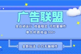 （13842期）全新广告联盟最新玩法 全自动脚本运行单机300  项目稳定新手小白可做
