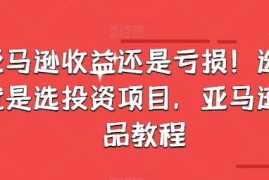 亚马逊收益还是亏损！选品就是选投资项目，亚马逊选品教程