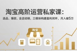 淘宝高阶运营私家课：选品、爆款、全店动销，三模块构建盈利闭环，月入破5万(更新26年2月