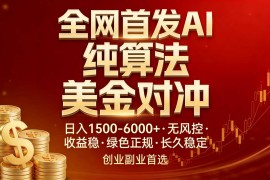 全网首发项目！AI美金算法对冲，日入2000-6000 ，稳定长效0风险，彻底告别996，创业、副业逆…