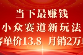 当下最挣钱的小众赛道 小红书新玩法10个作品涨粉3W，客单价13.8 月销2W单
