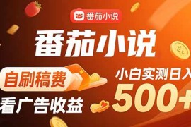 （15641期）稳定3年官方番茄小说自刷稿费小白单日500 