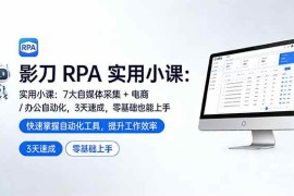 （17655期）影刀 RPA 实用小课：7 大自媒体采集   电商 / 办公自动化，3 天速成，零基础也能上手