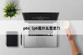 p6s（p6是什么意思?）