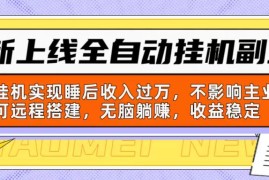 （10588期）新上线全自动挂机副业：靠挂机实现睡后收入过万，不影响主业可远程搭建…