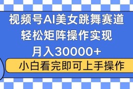 （13813期）视频号蓝海赛道玩法，当天起号，拉爆流量收益，小白也能轻松月入30000 