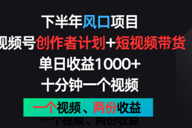 下半年风口项目，视频号创作者计划 视频带货，单日收益1000 ，一个视频两份收益