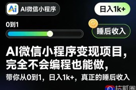 AI微信小程序变现项目，完全不会编程也能做，带你从0到1，日入1k ，真正的睡后收入(完结)