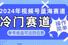 （10195期）2024视频号冷门蓝海赛道，操作简单 单号收益可达四位数（教程 素材 工具）