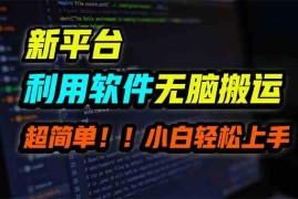 （9745期）新平台用软件无脑搬运，月赚10000 ，小白也能轻松上手