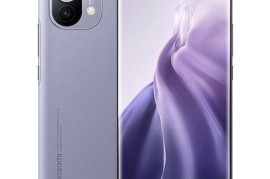 小米标准版(小米标准版是什么意思)