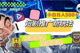短剧推广新玩法，快速起号快速变现，小白日入500 