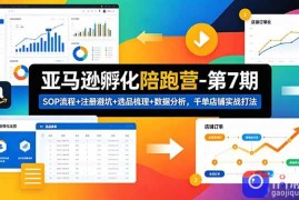 亚马逊孵化陪跑营-第7期：SOP流程 注册避坑 选品梳理 数据分析，千单店铺实战打法