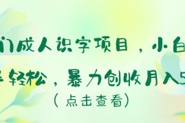 冷门成人识字项目，小白也能轻松学习，暴力创收月入5w！