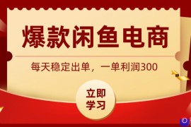 爆款闲鱼电商，卖法简单粗暴，长期稳定可做，一单利润300