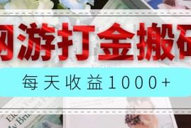 （12313期）网游全自动搬砖副业项目，每天收益1000 ，长期稳定