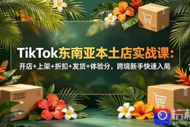TikTok东南亚本土店实战课：开店 上架 折扣 发货 体验分，跨境新手快速入局