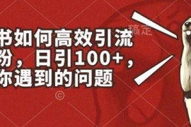小红书如何高效引流创业粉，日引100 ，解决你遇到的问题【揭秘】