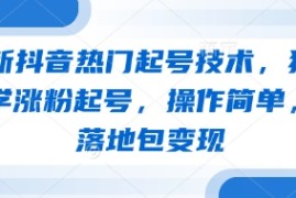 最新抖音热门起号技术，独家教学涨粉起号，操作简单，包落地包变现