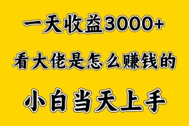 一天赚3000多，大佬是这样赚到钱的，小白当天上手，穷人翻身项目