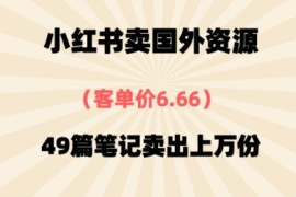 ⼩红书国外资料，客单价6.66，49篇笔记卖出上万份