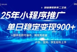 （14209期）25年最新风口，小程序机推广，稳定日入900 ，小白轻松上手！