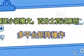 （10119期）解压小说推文，百分之百过原创