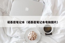 诺基亚笔记本（诺基亚笔记本电脑图片）