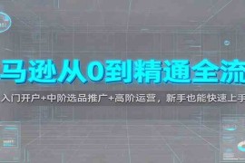 亚马逊从0到精通全流程：入门开户 中阶选品推广 高阶运营，新手也能快速上手