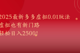 2025最新多多虚拟0.01玩法！虚拟也有新世界，轻松日入2500!