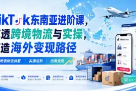 TikTok东南亚进阶课，吃透跨境物流与实操，打造海外变现路径