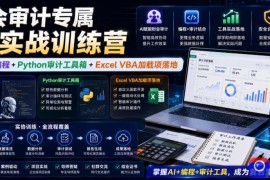 财会审计专属AI实战训练营｜AI协同编程 Python审计工具箱 Excel VBA加载项落地