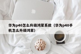 华为p40怎么升级鸿蒙系统（华为p40手机怎么升级鸿蒙）