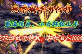 （11084期）地下城手游代打，边玩游戏边挣钱，轻松日入1000 ，小白轻松上手，蓝海项目
