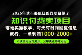 为什么做项目总是被割，为什么卖项目月入10w ，我们普通人应该怎么真正开始賺钱？【揭秘】