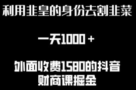 利用非皇的身份去割韭菜，一天1000 (附详细资源)【揭秘】