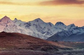 华为四核手机(华为四核和六核有什么区别)